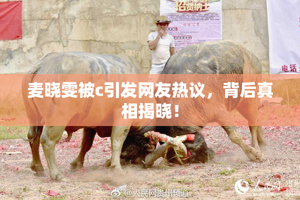 麦晓雯被c引发网友热议，背后真相揭晓！