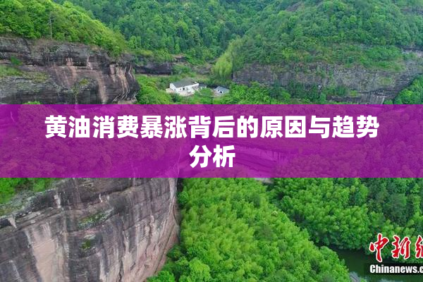 黄油消费暴涨背后的原因与趋势分析