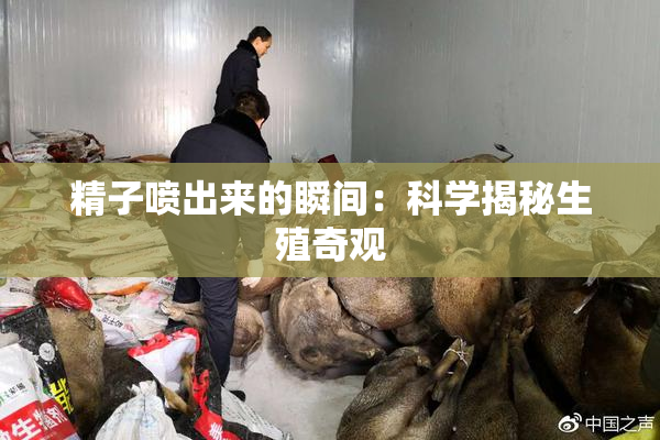 精子喷出来的瞬间：科学揭秘生殖奇观