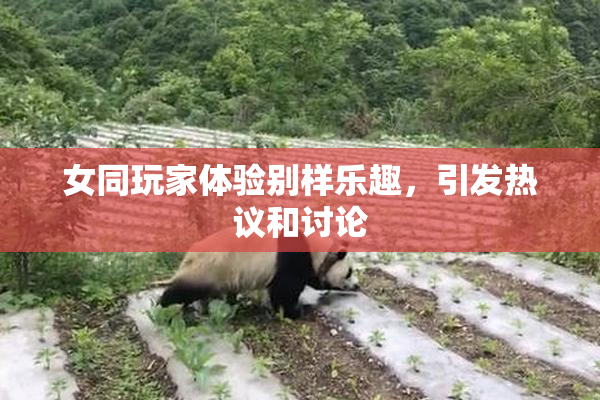 女同玩家体验别样乐趣，引发热议和讨论