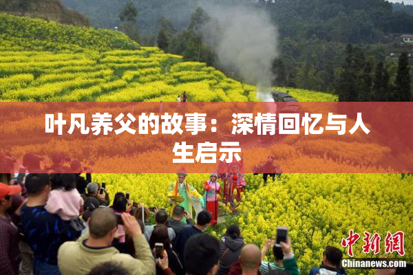 叶凡养父的故事：深情回忆与人生启示