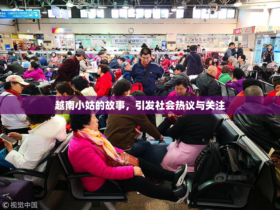 越南小姑的故事，引发社会热议与关注