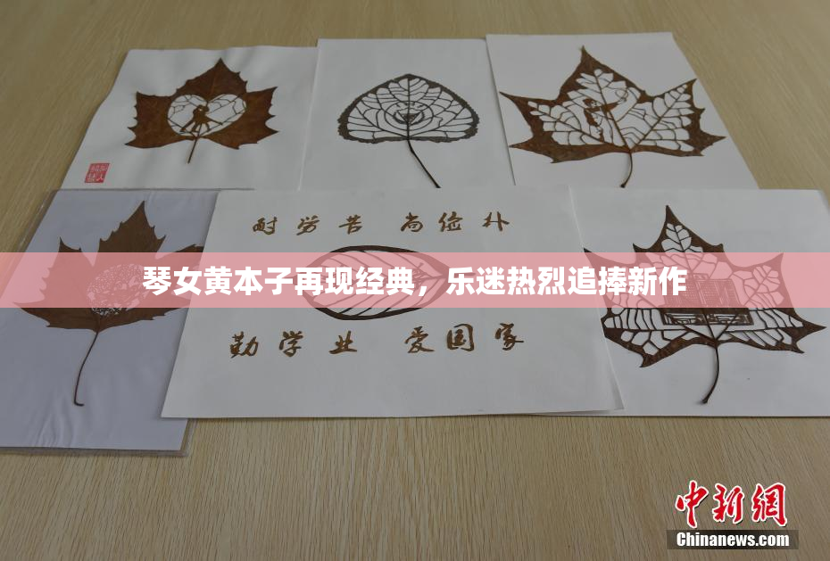 琴女黄本子再现经典，乐迷热烈追捧新作