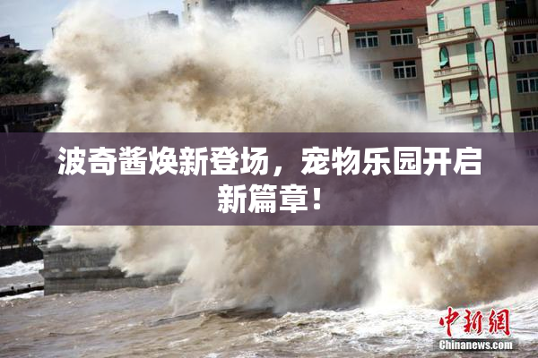 波奇酱焕新登场，宠物乐园开启新篇章！