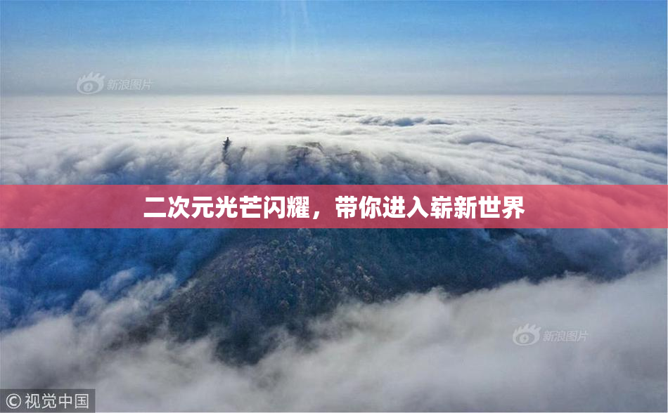 二次元光芒闪耀，带你进入崭新世界