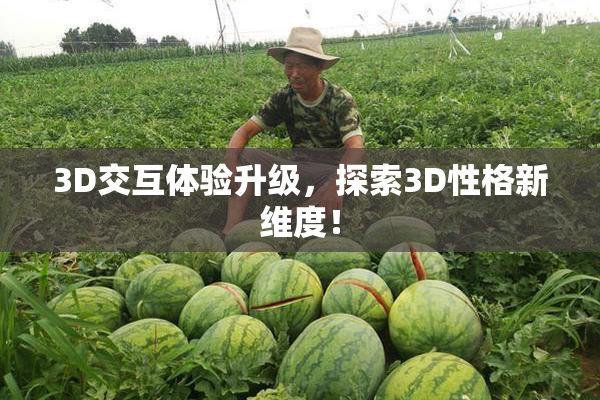 3D交互体验升级，探索3D性格新维度！