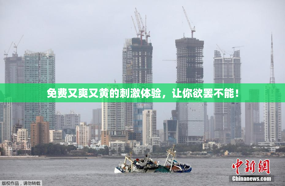 免费又爽又黄的刺激体验，让你欲罢不能！