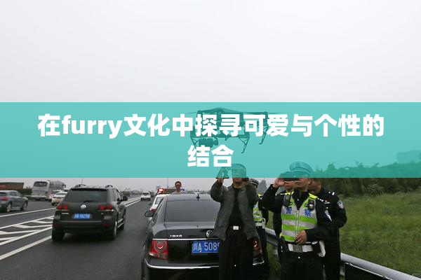 在furry文化中探寻可爱与个性的结合