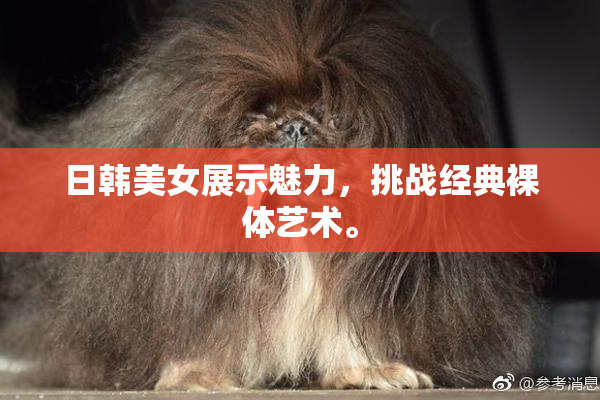 日韩美女展示魅力，挑战经典裸体艺术。