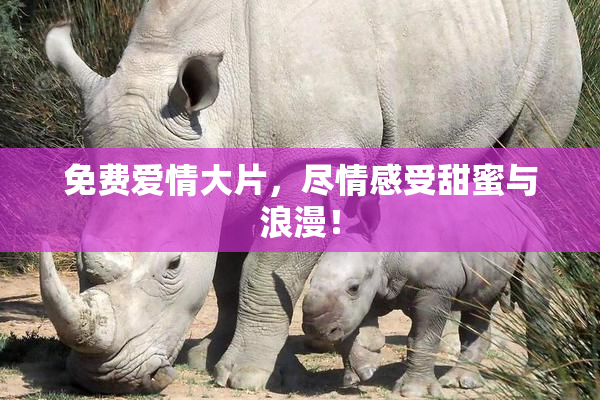 免费爱情大片，尽情感受甜蜜与浪漫！
