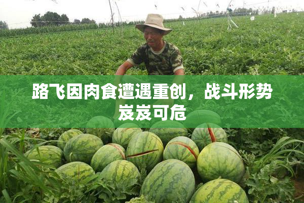 路飞因肉食遭遇重创，战斗形势岌岌可危
