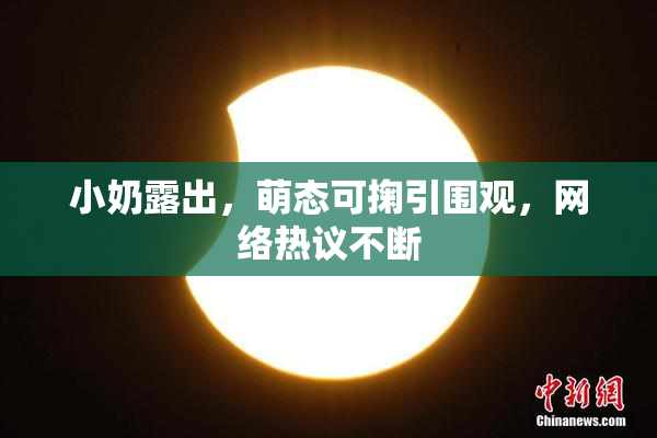 小奶露出，萌态可掬引围观，网络热议不断
