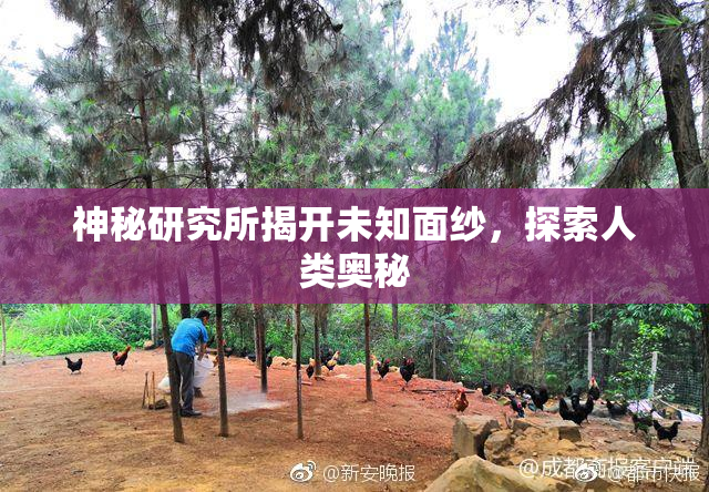 神秘研究所揭开未知面纱，探索人类奥秘