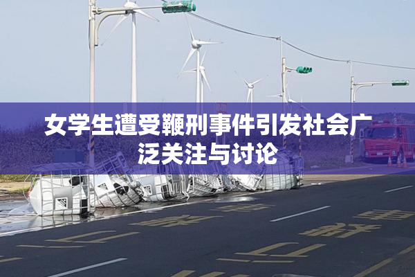 女学生遭受鞭刑事件引发社会广泛关注与讨论