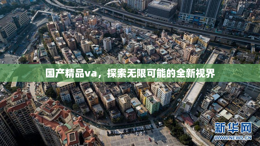 国产精品va，探索无限可能的全新视界