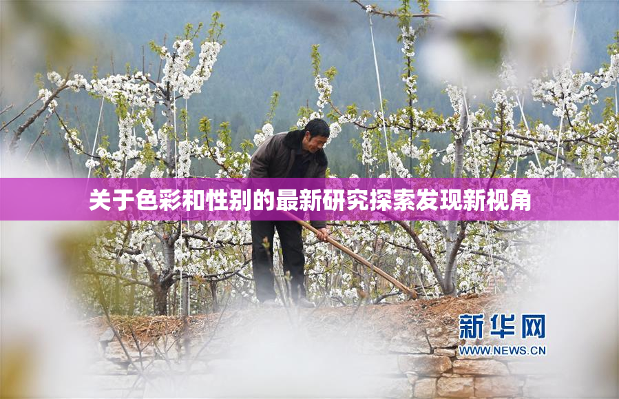 关于色彩和性别的最新研究探索发现新视角