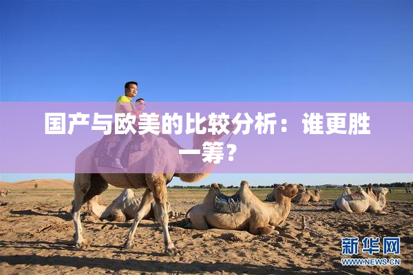 国产与欧美的比较分析：谁更胜一筹？