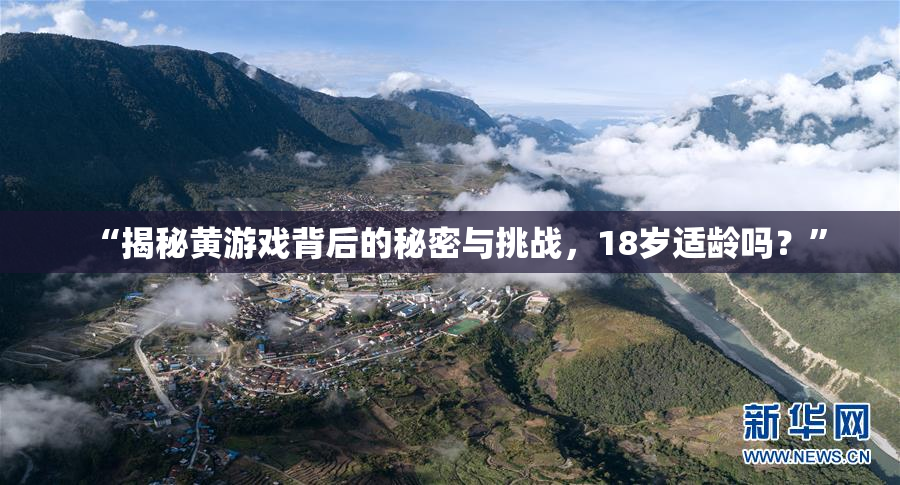 “揭秘黄游戏背后的秘密与挑战，18岁适龄吗？”