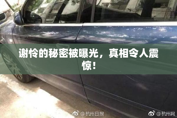 谢怜的秘密被曝光，真相令人震惊！