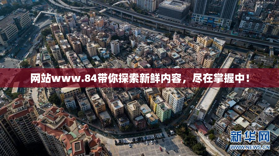 网站www.84带你探索新鲜内容，尽在掌握中！