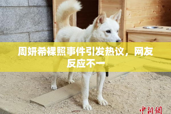 周妍希裸照事件引发热议，网友反应不一