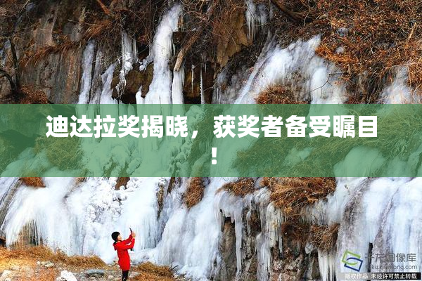 迪达拉奖揭晓，获奖者备受瞩目！
