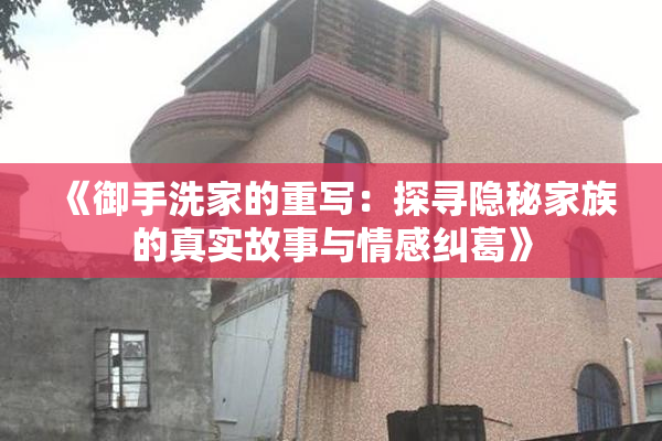 《御手洗家的重写：探寻隐秘家族的真实故事与情感纠葛》