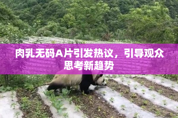 肉乳无码A片引发热议，引导观众思考新趋势