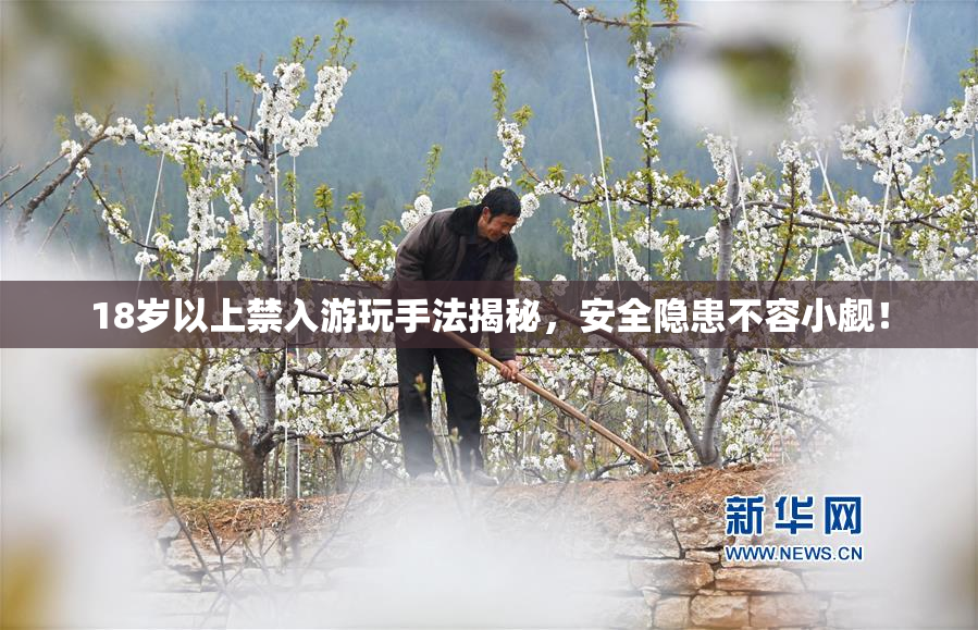 18岁以上禁入游玩手法揭秘，安全隐患不容小觑！