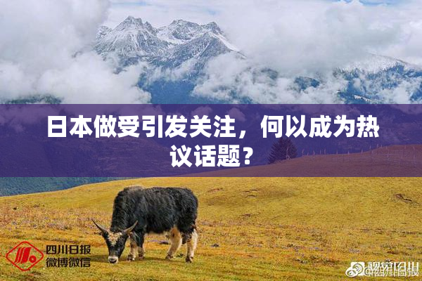 日本做受引发关注，何以成为热议话题？