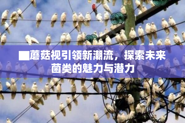 ▇蘑菇视引领新潮流，探索未来菌类的魅力与潜力