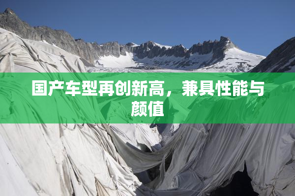 国产车型再创新高，兼具性能与颜值