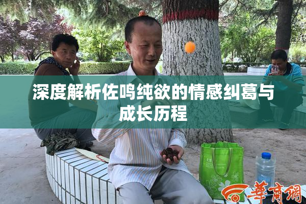 深度解析佐鸣纯欲的情感纠葛与成长历程