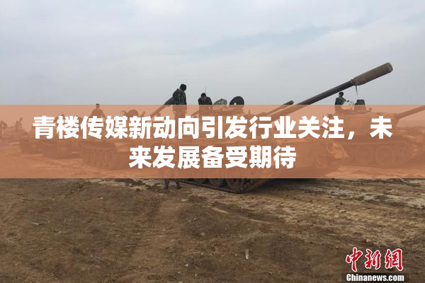 青楼传媒新动向引发行业关注，未来发展备受期待