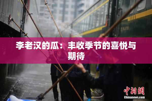 李老汉的瓜：丰收季节的喜悦与期待