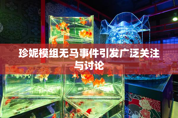 珍妮模组无马事件引发广泛关注与讨论