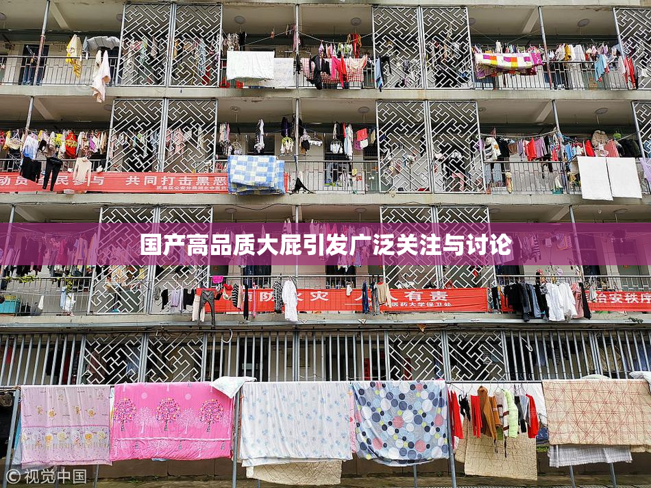 国产高品质大屁引发广泛关注与讨论