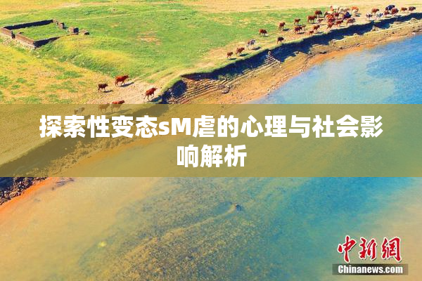 探索性变态sM虐的心理与社会影响解析