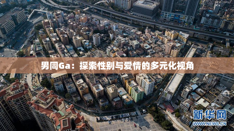 男同Ga：探索性别与爱情的多元化视角