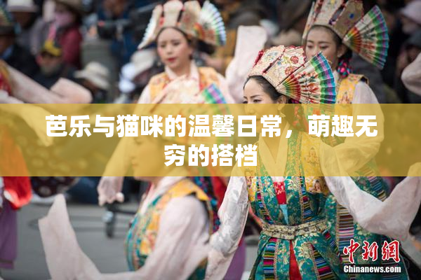 芭乐与猫咪的温馨日常，萌趣无穷的搭档