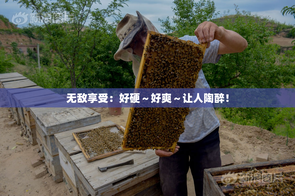 无敌享受：好硬～好爽～让人陶醉！