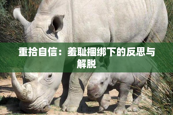重拾自信：羞耻捆绑下的反思与解脱