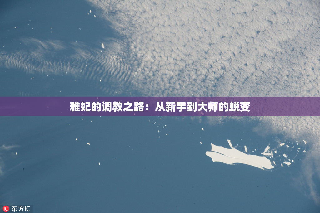 雅妃的调教之路：从新手到大师的蜕变