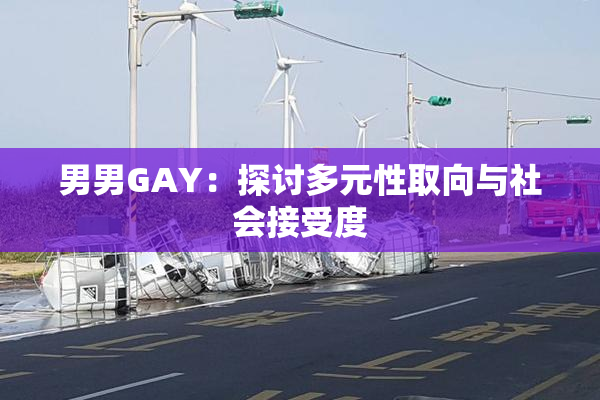 男男GAY：探讨多元性取向与社会接受度