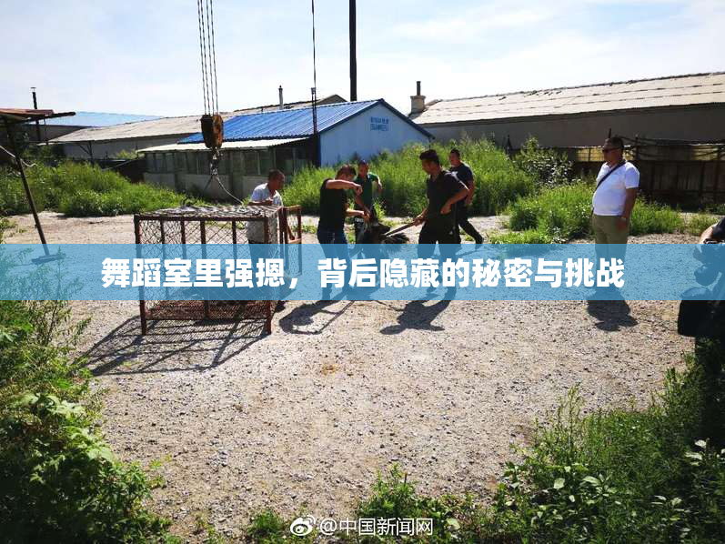 舞蹈室里强摁，背后隐藏的秘密与挑战