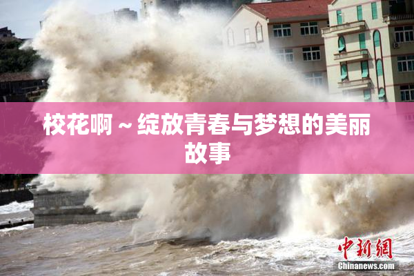 校花啊～绽放青春与梦想的美丽故事