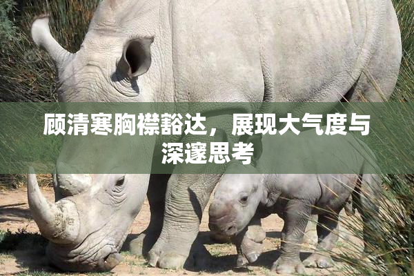 顾清寒胸襟豁达，展现大气度与深邃思考
