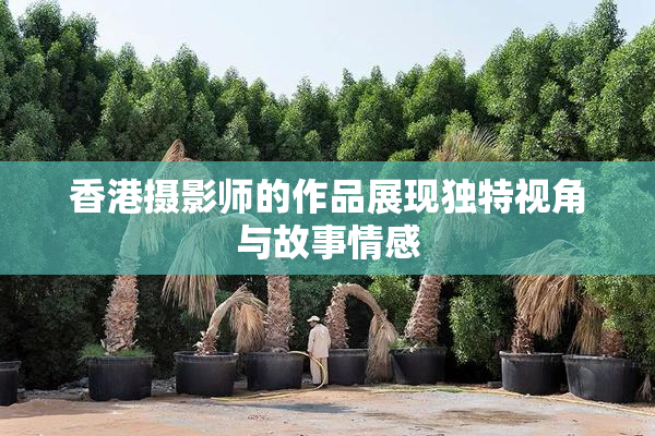 香港摄影师的作品展现独特视角与故事情感