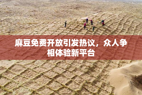 麻豆免费开放引发热议，众人争相体验新平台