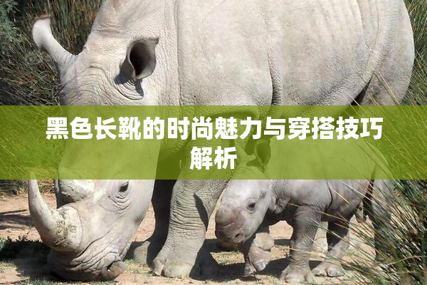 黑色长靴的时尚魅力与穿搭技巧解析